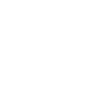 people icon